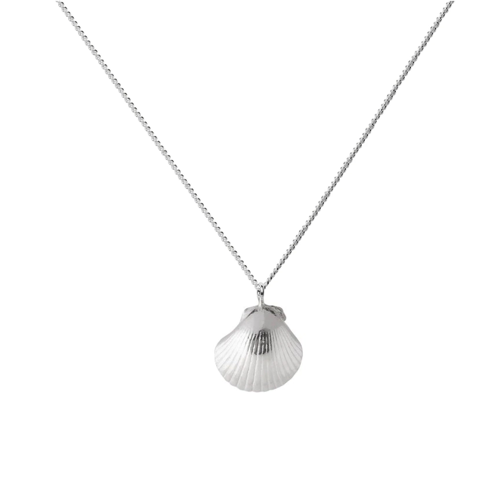 Silver Sea Shell Pendant – The Jewelry Girls